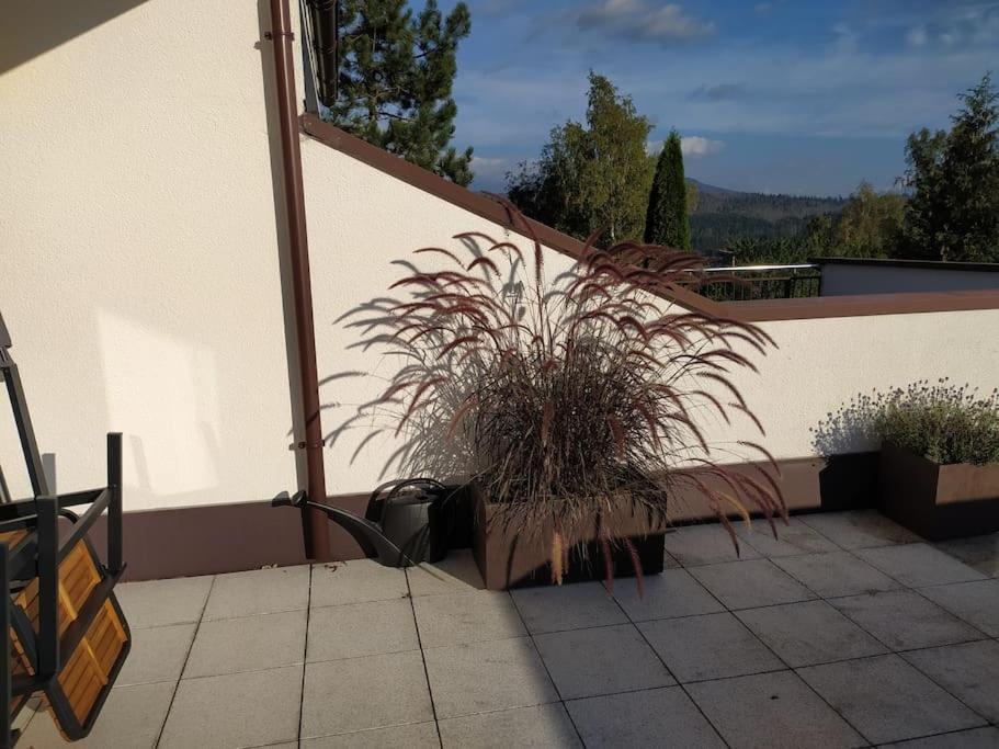 Apratman Julie - Bavorska Ruda Apartment Bayerisch Eisenstein Ngoại thất bức ảnh